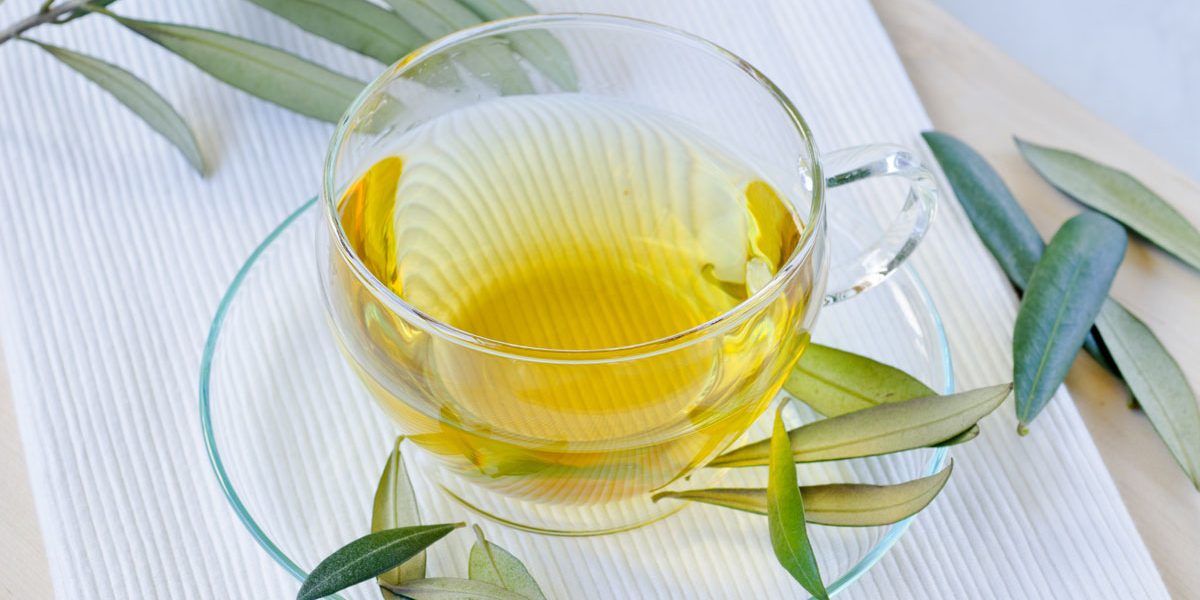 Benefits of Olive Leaf Tea Edible Forest