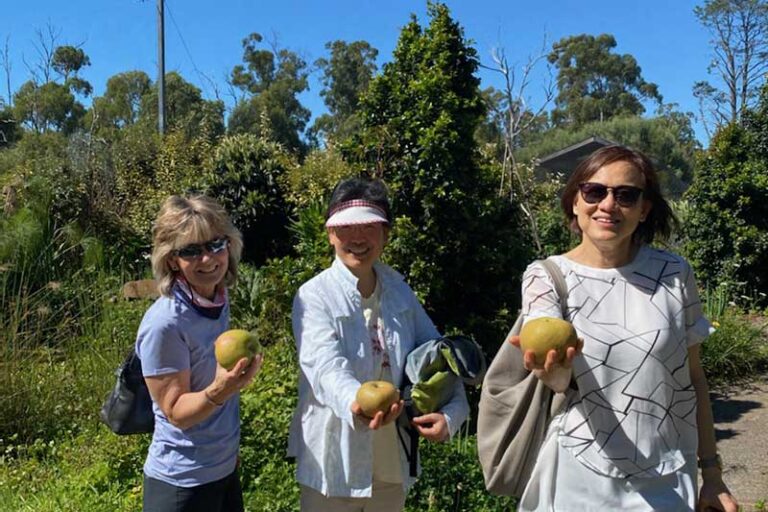Edible Forest : Private Tour - Image 2