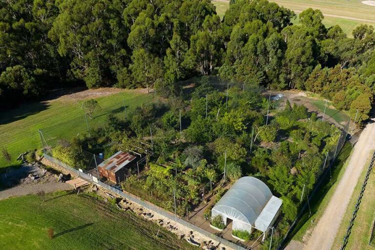Edible Forest : Private Tour