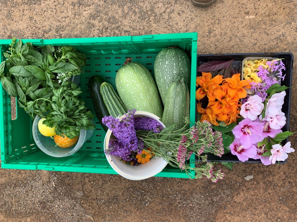 Summer Harvest at The Edible Forest