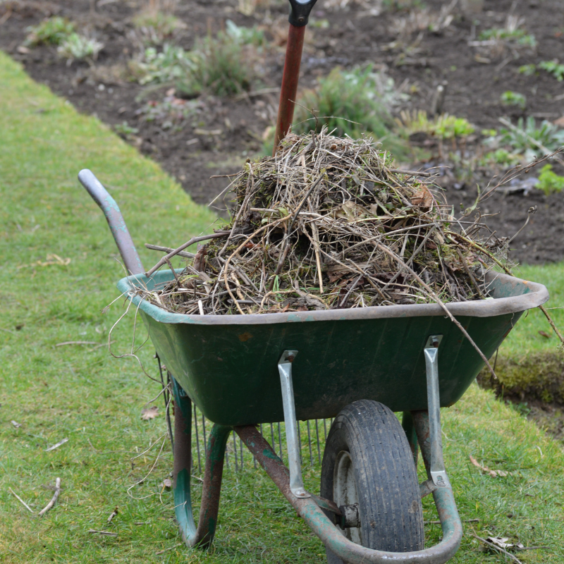 Preparing the garden for winter
