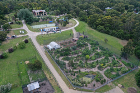 Edible Forest Tour