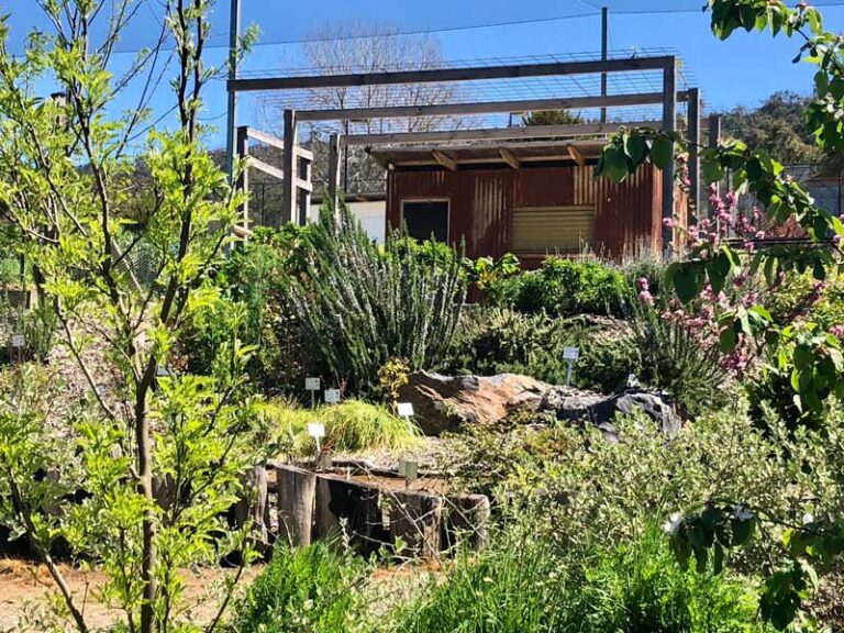 Edible Forest Design Tour - Image 2