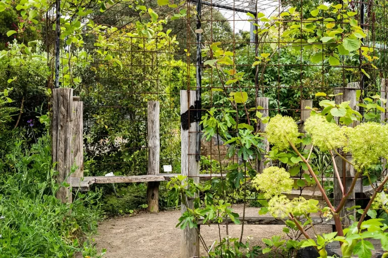 Edible Forest : Private Tour - Image 4