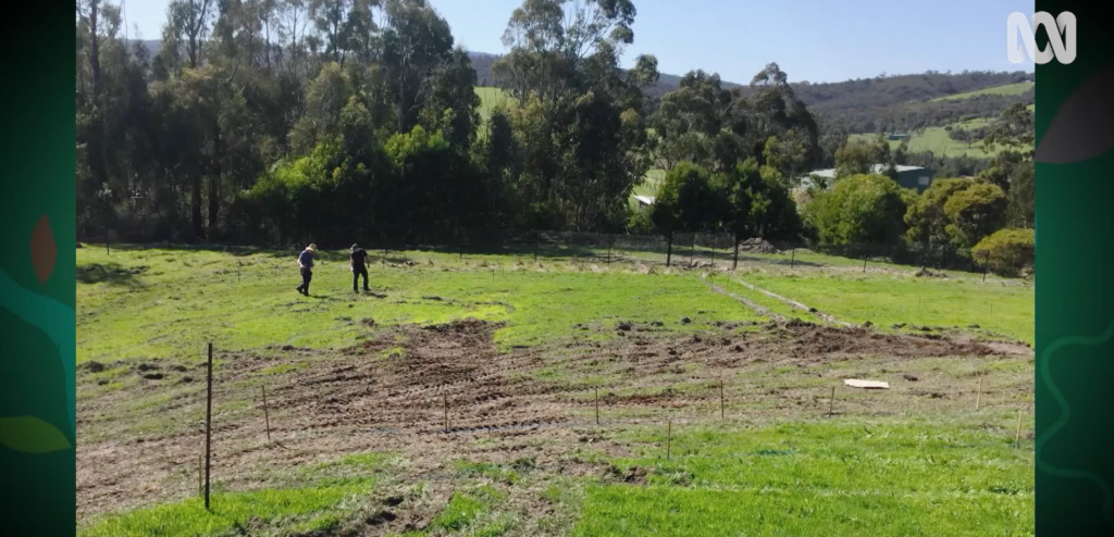 Edible Forest On Gardening Australia: A Journey Into Sustainable Living ...
