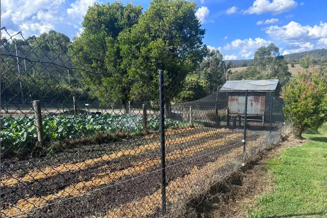 how to build a chicken tractor