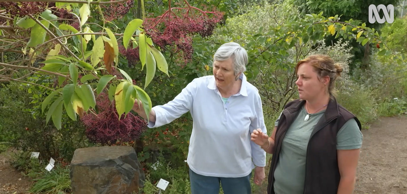 edible forest ABC gardening australia