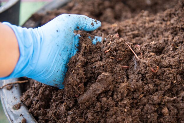 worm farming tips