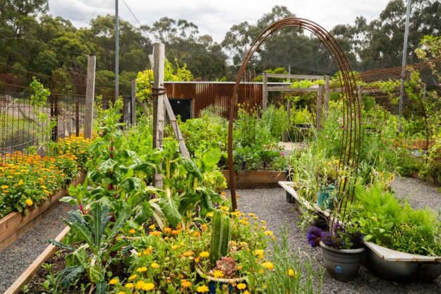 what we are planting in November at the Edible Forest